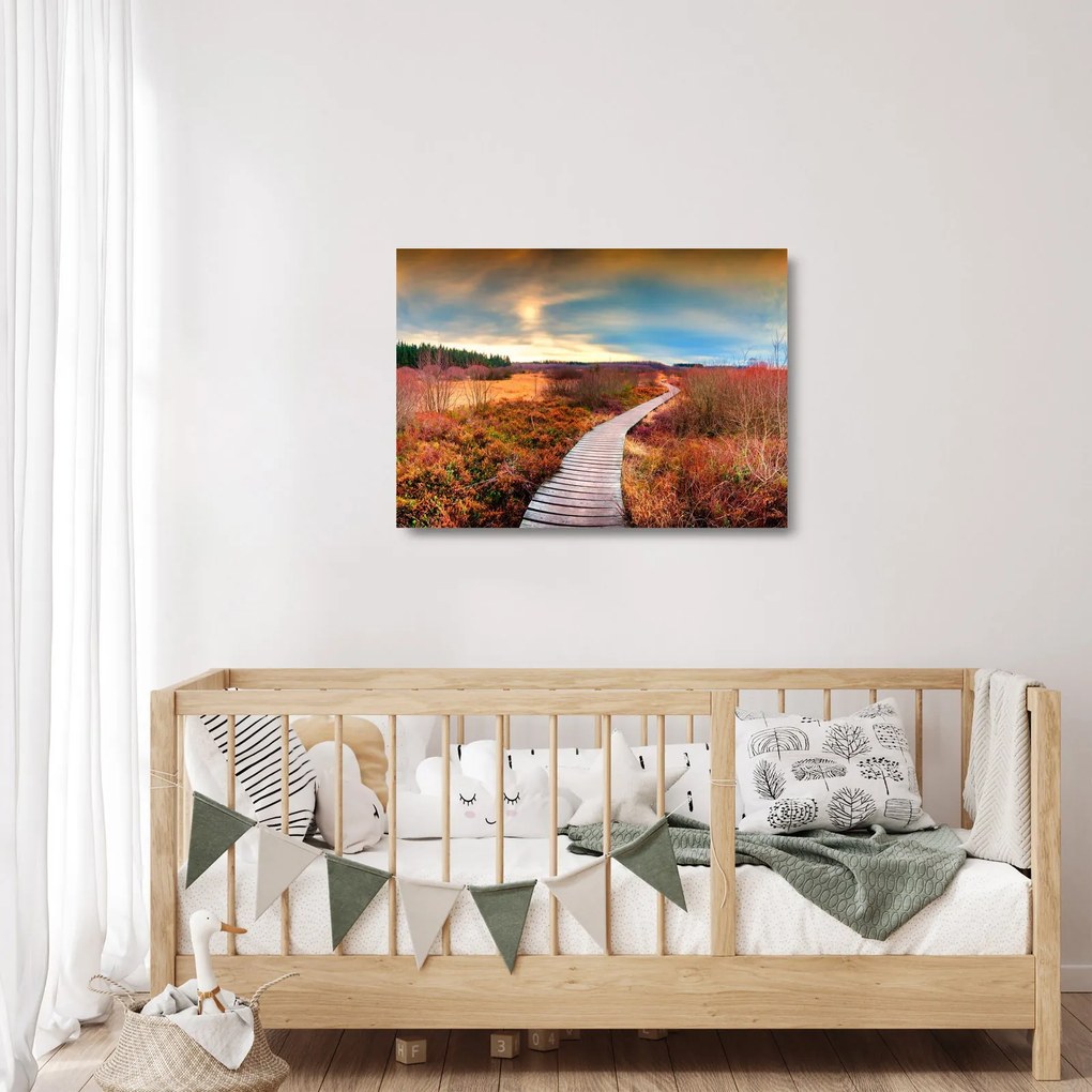 Sklenený obraz - Jesenná cesta krajinou (70x50 cm)