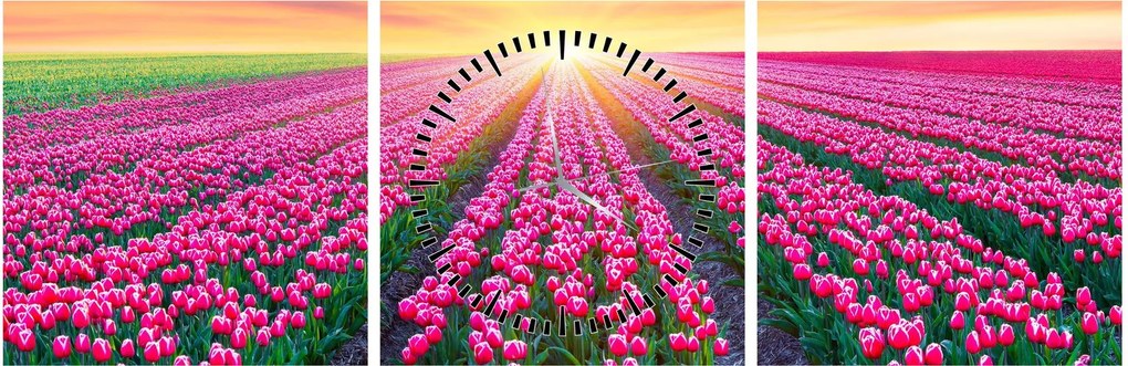 Obraz poľa tulipánov so slnkom (s hodinami) (90x30 cm)