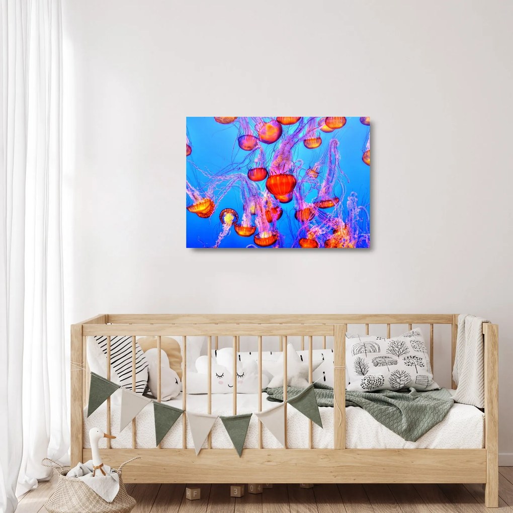 Sklenený obraz medúz v mori (70x50 cm)