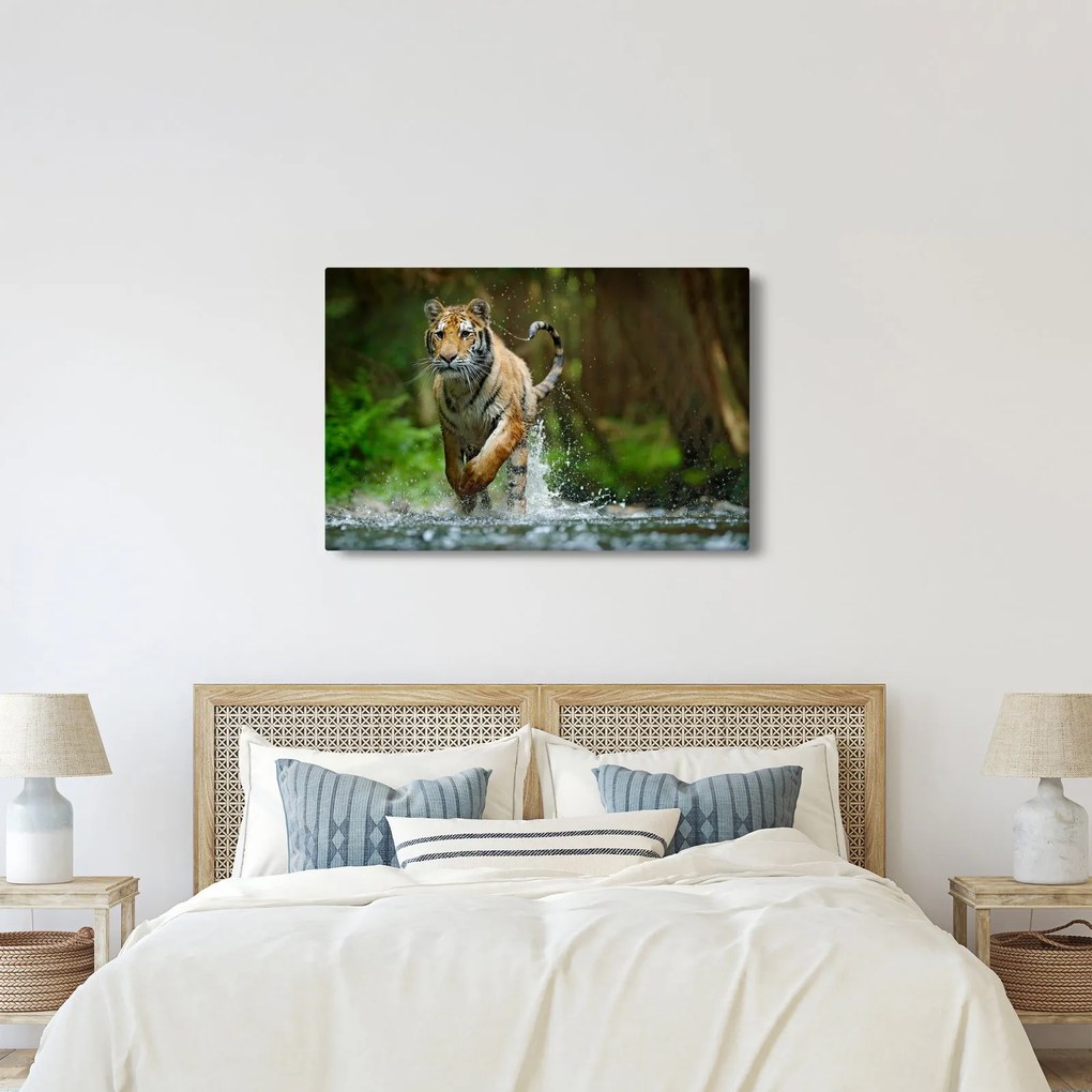 Obraz bežiaceho tigra (90x60 cm)