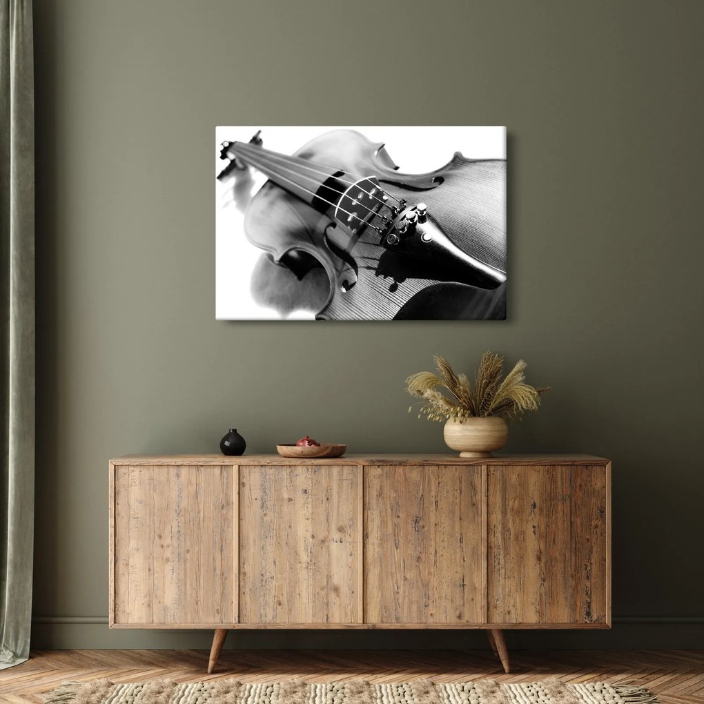 Obraz - Husle (90x60 cm)