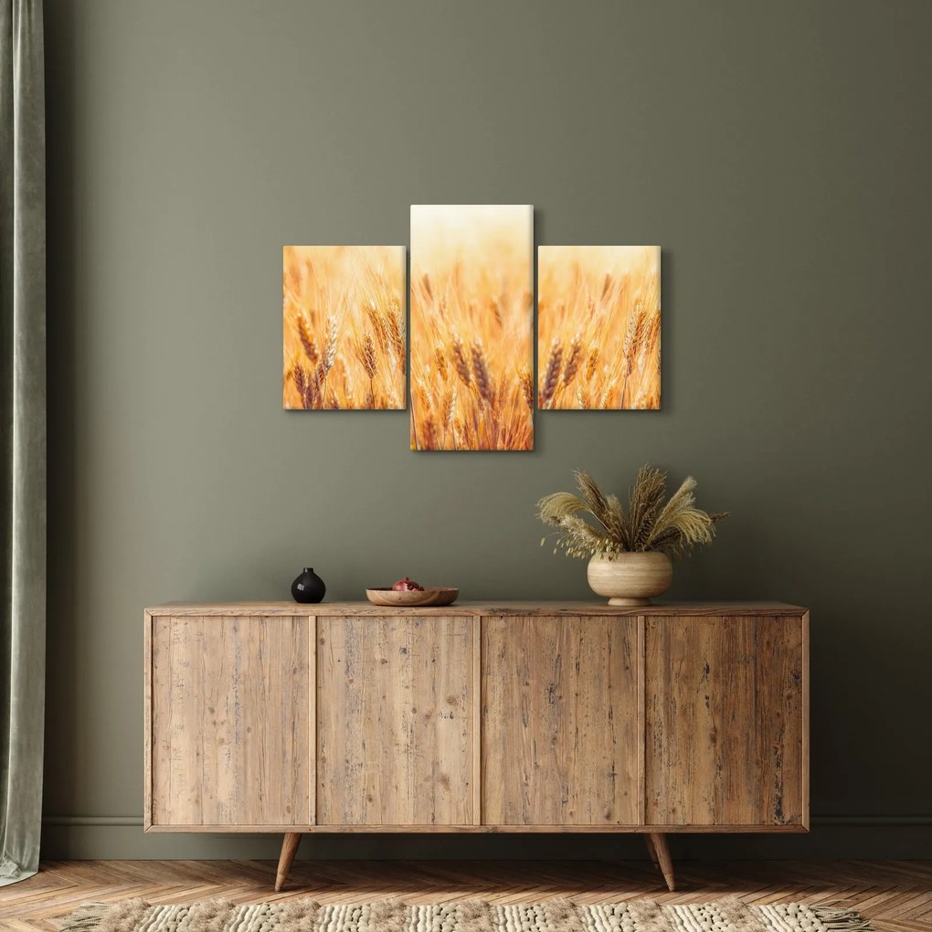 Obraz - pole s obilím (90x60 cm)