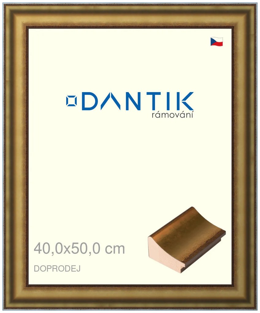 DANTIK rám na obraz 40x50 | Doprodej | METAL AU prohlá velká (Plexi Čiré)