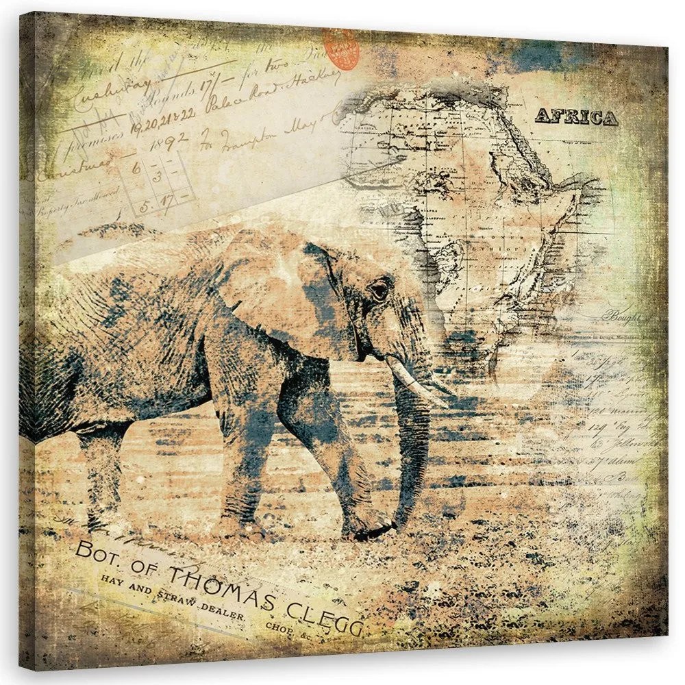 Gario Obraz na plátne Slon a stará mapa Afriky - Andrea Haase Rozmery: 60 x 60 cm