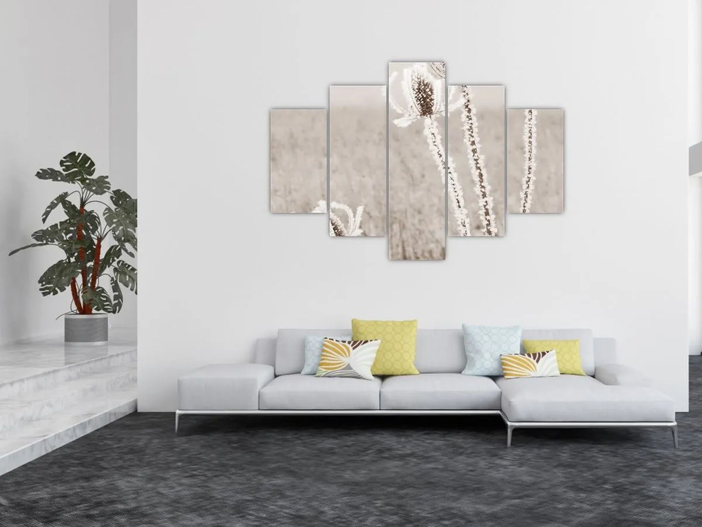 Obraz - Bodliak v zime (150x105 cm)