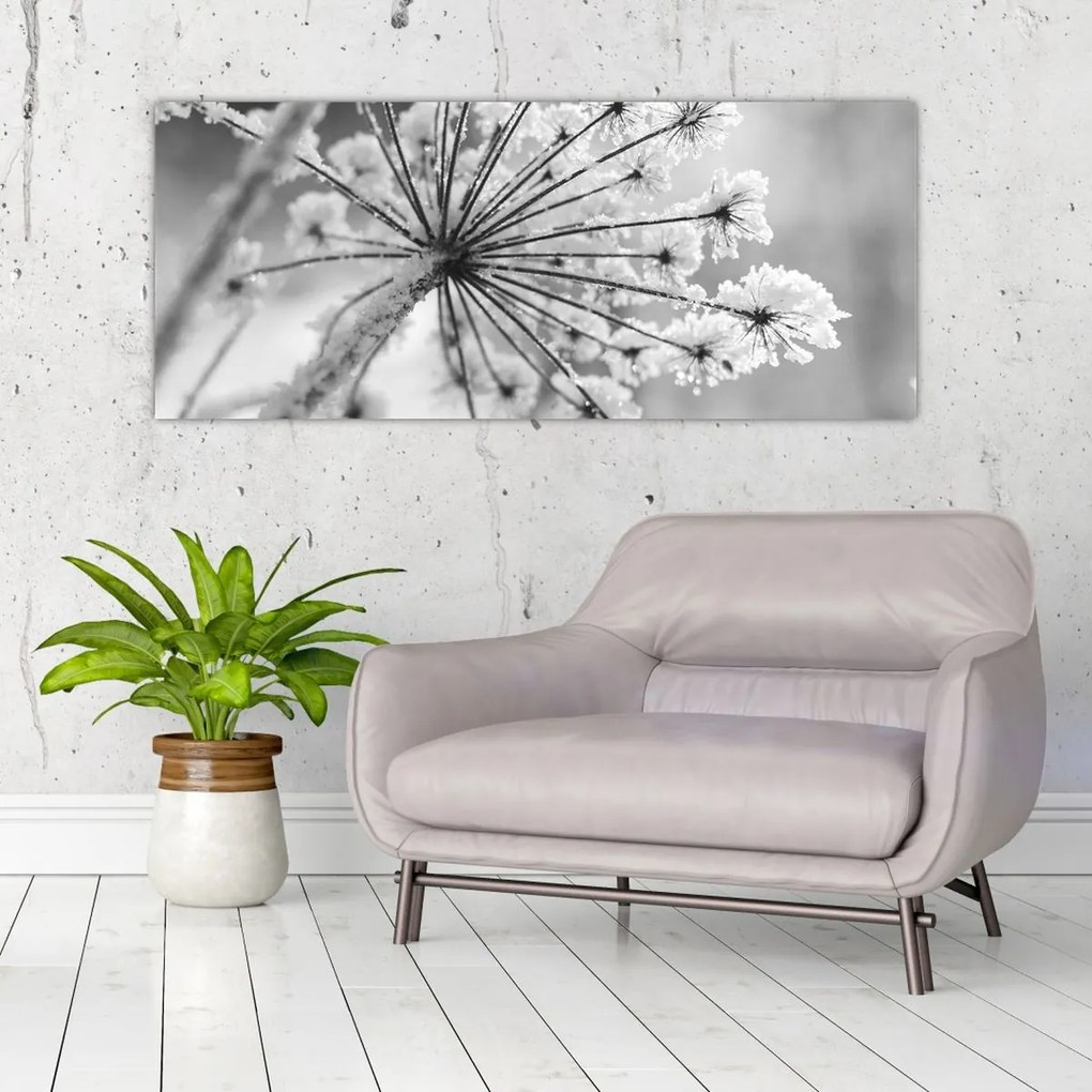 Obraz - Kvetina v zime (120x50 cm)