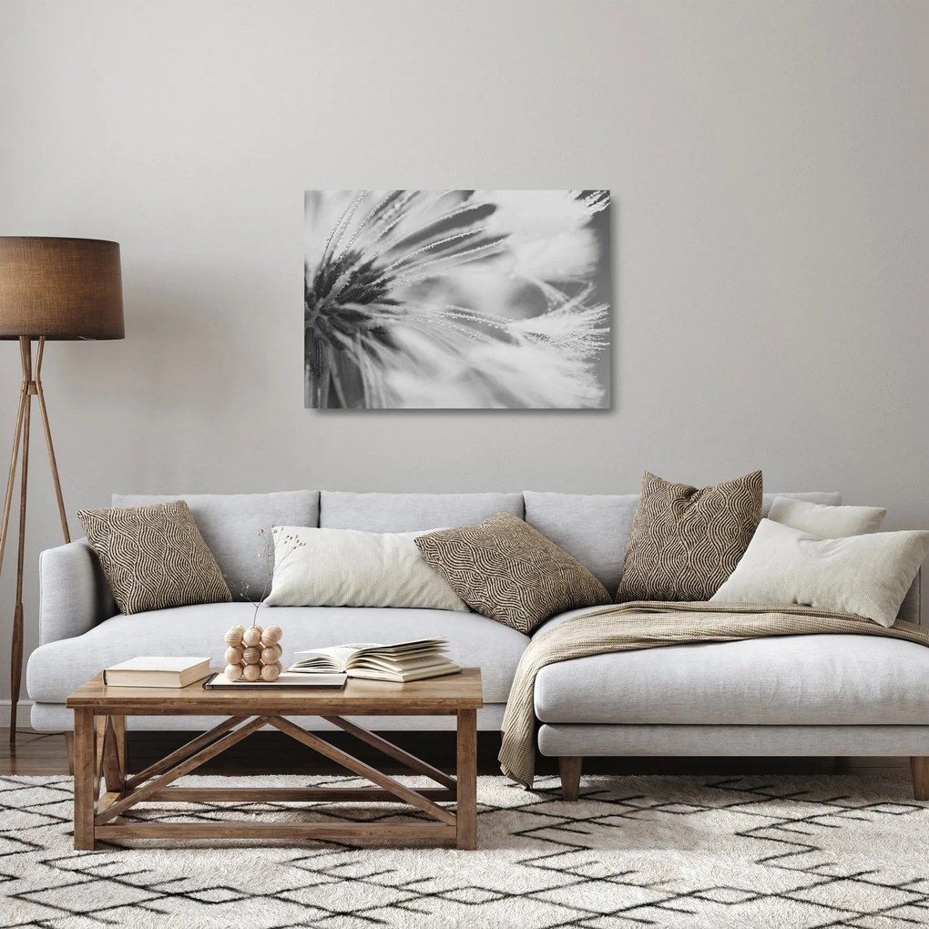 Sklenený obraz - Púpava (70x50 cm)