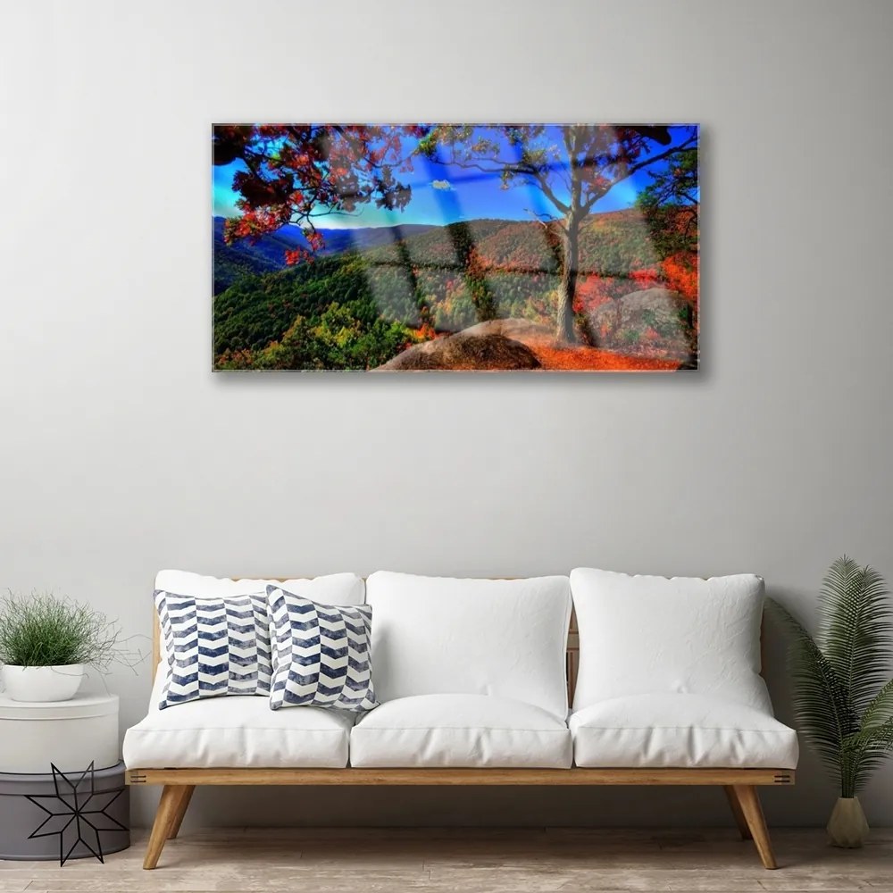 Obraz na skle Hora les príroda 120x60 cm