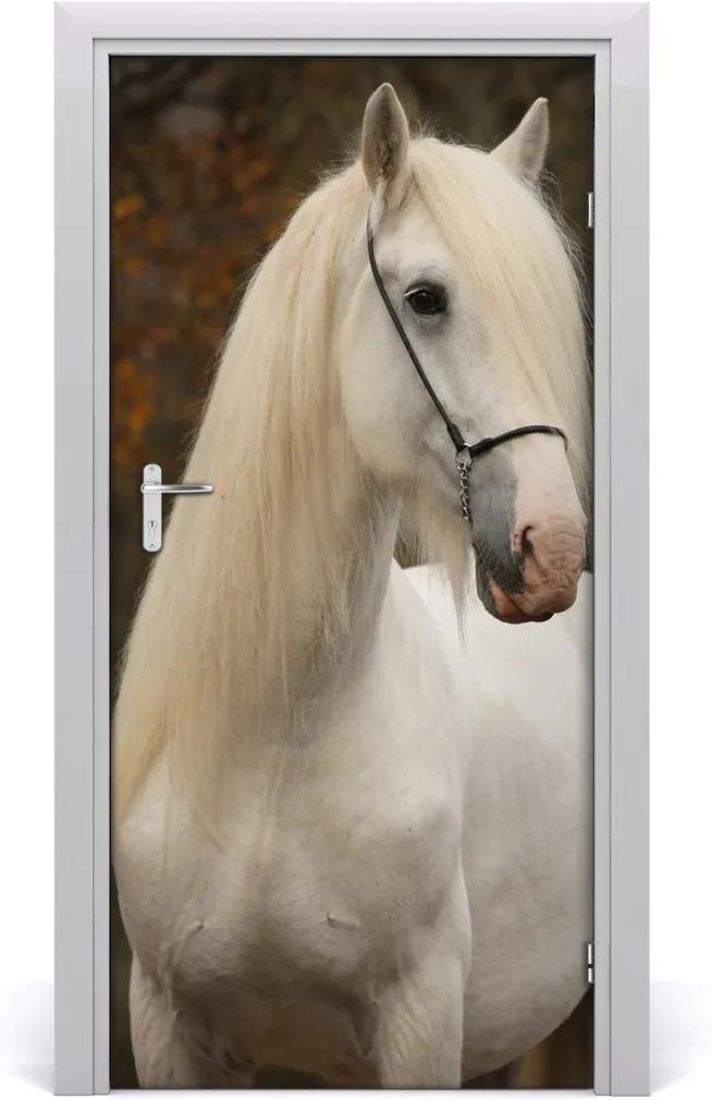 Samolepící fototapeta na dveře Bílý kůň
