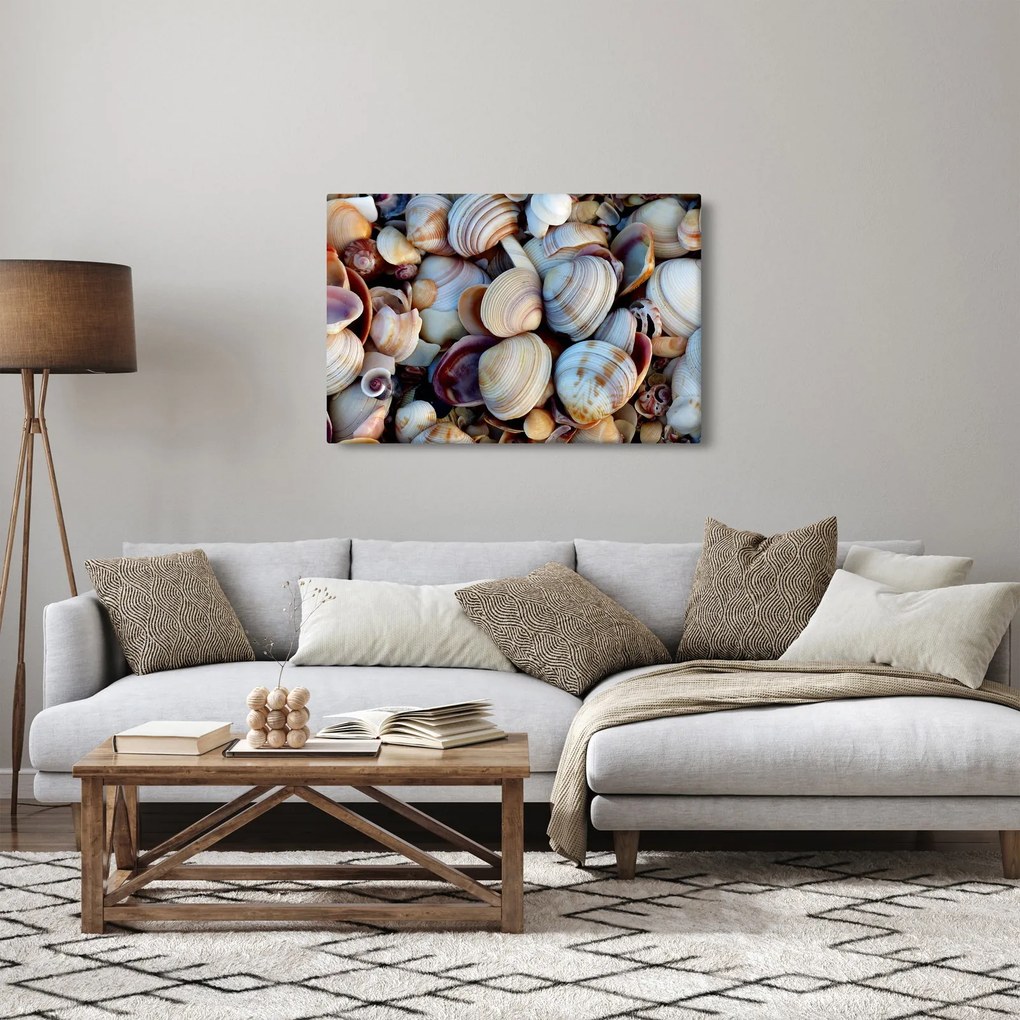 Obraz mušlí (90x60 cm)