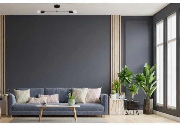 Prisadený luster CAMBRIDGE 2xE27/15W/230V čierna