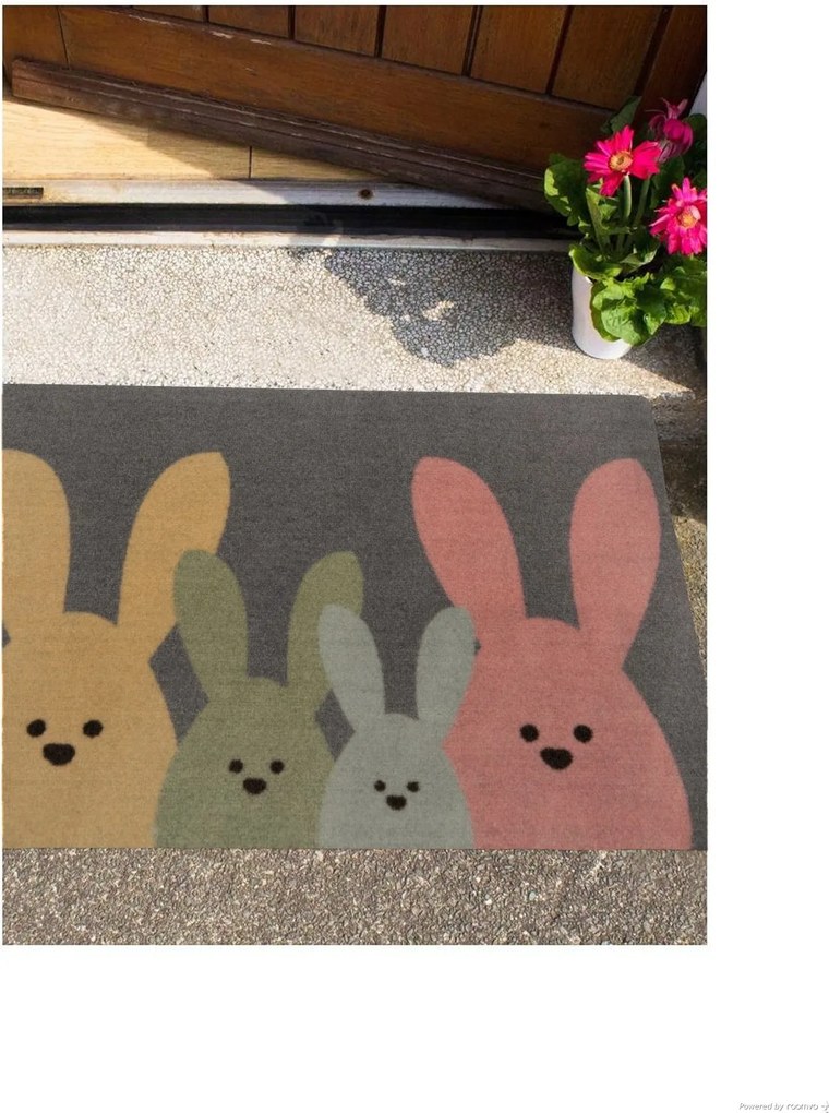 Hanse Home, AKCIA: 40x60 cm Protišmyková rohožka Printy 104452 Grey, Multicolor, viacfarebná, chodba / predsieň