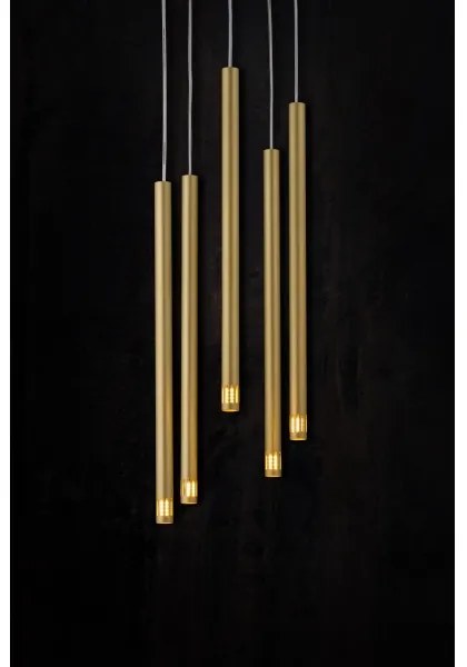 Luster na lanku STALACTITE LASER 5xG9/2,5W/230V zlatá