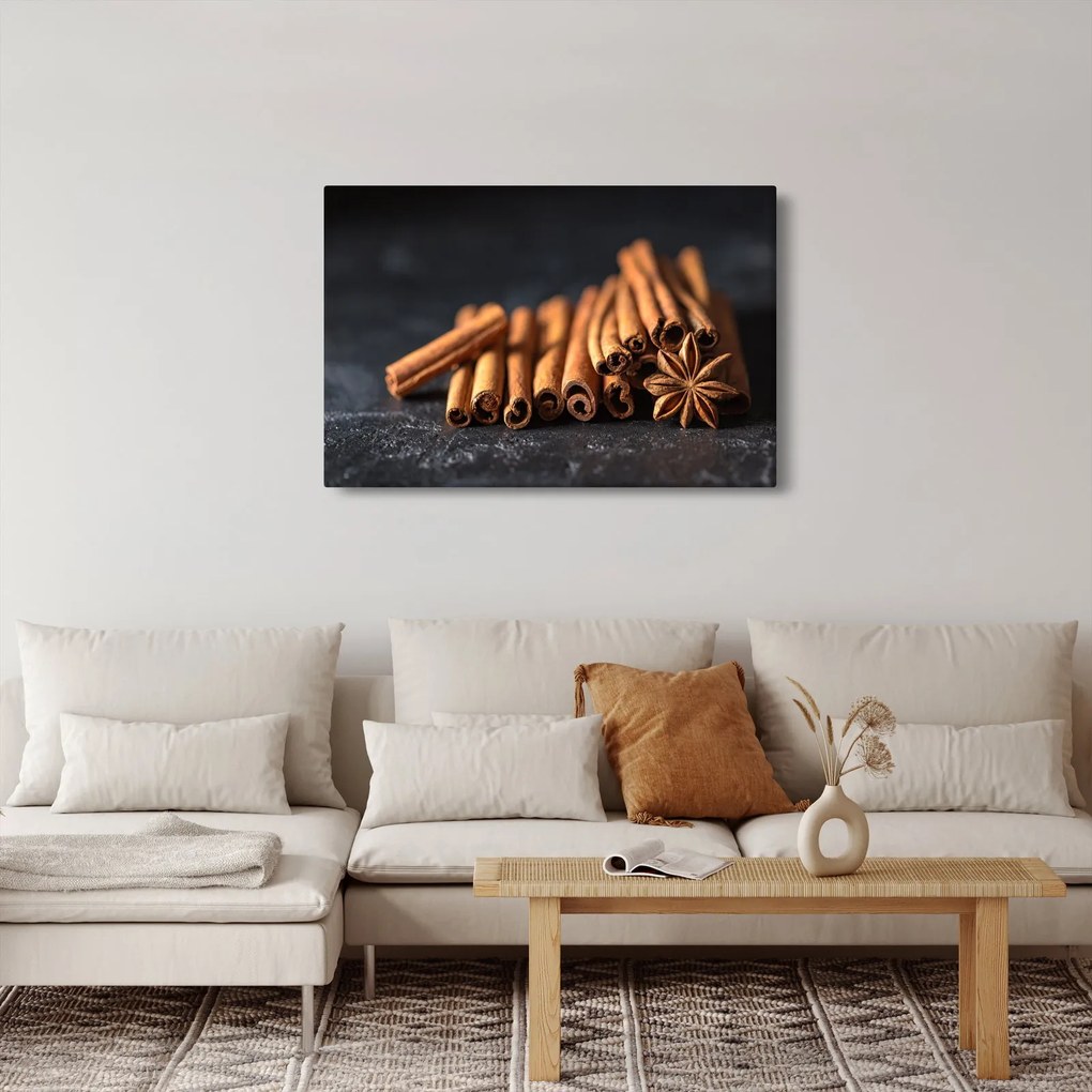 Obraz škorice (90x60 cm)