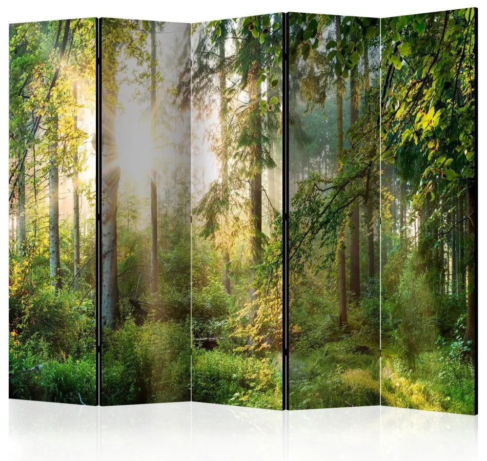 Artgeist Paraván - Untamed Nature II [Room Dividers]