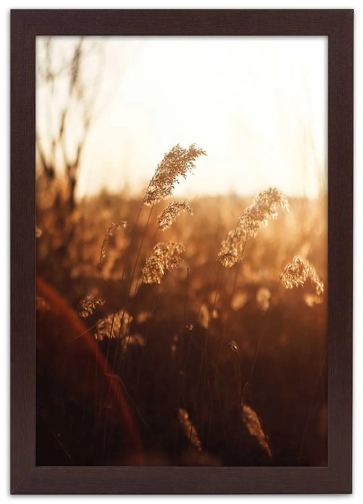 Gario Plagát Zrno na slnku Farba rámu: Bez rámu, Rozmery: 40 x 60 cm