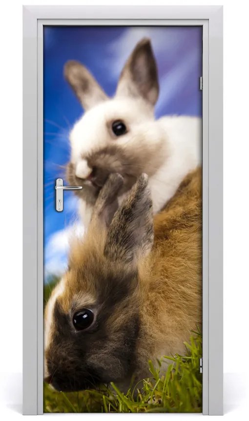 Samolepiace fototapety na dvere dva králiky 75x205 cm