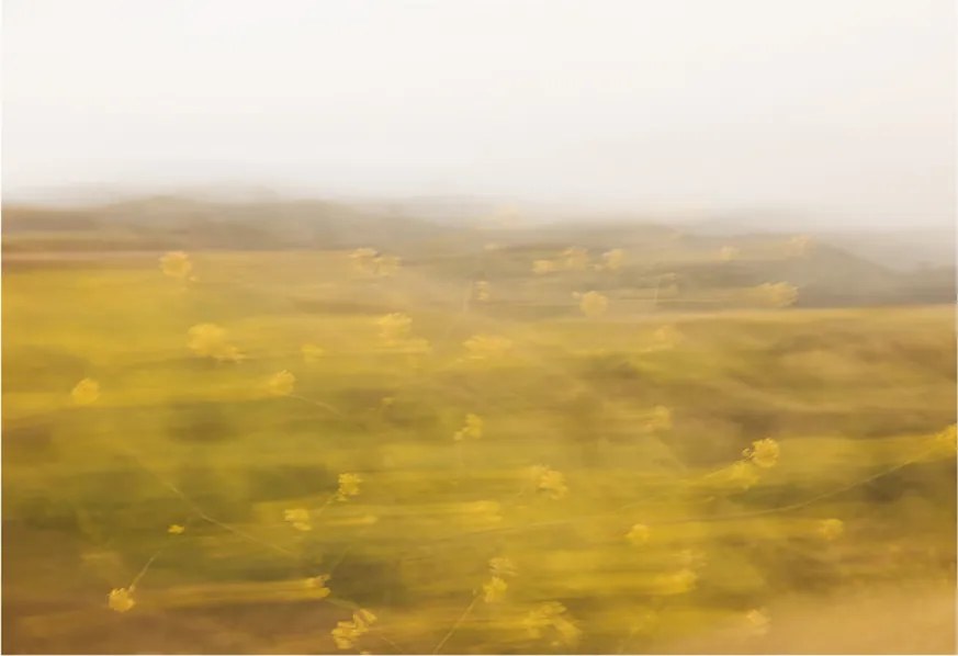 The Poster Club Plagát Golden by Nicole Mason 50x70 cm