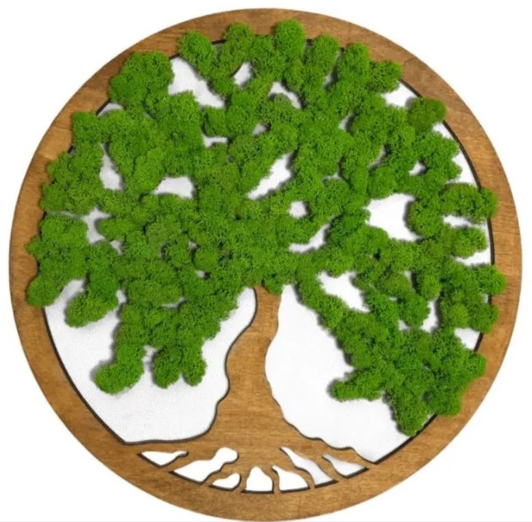 Strom na stenu z machu Tinker 60 cm