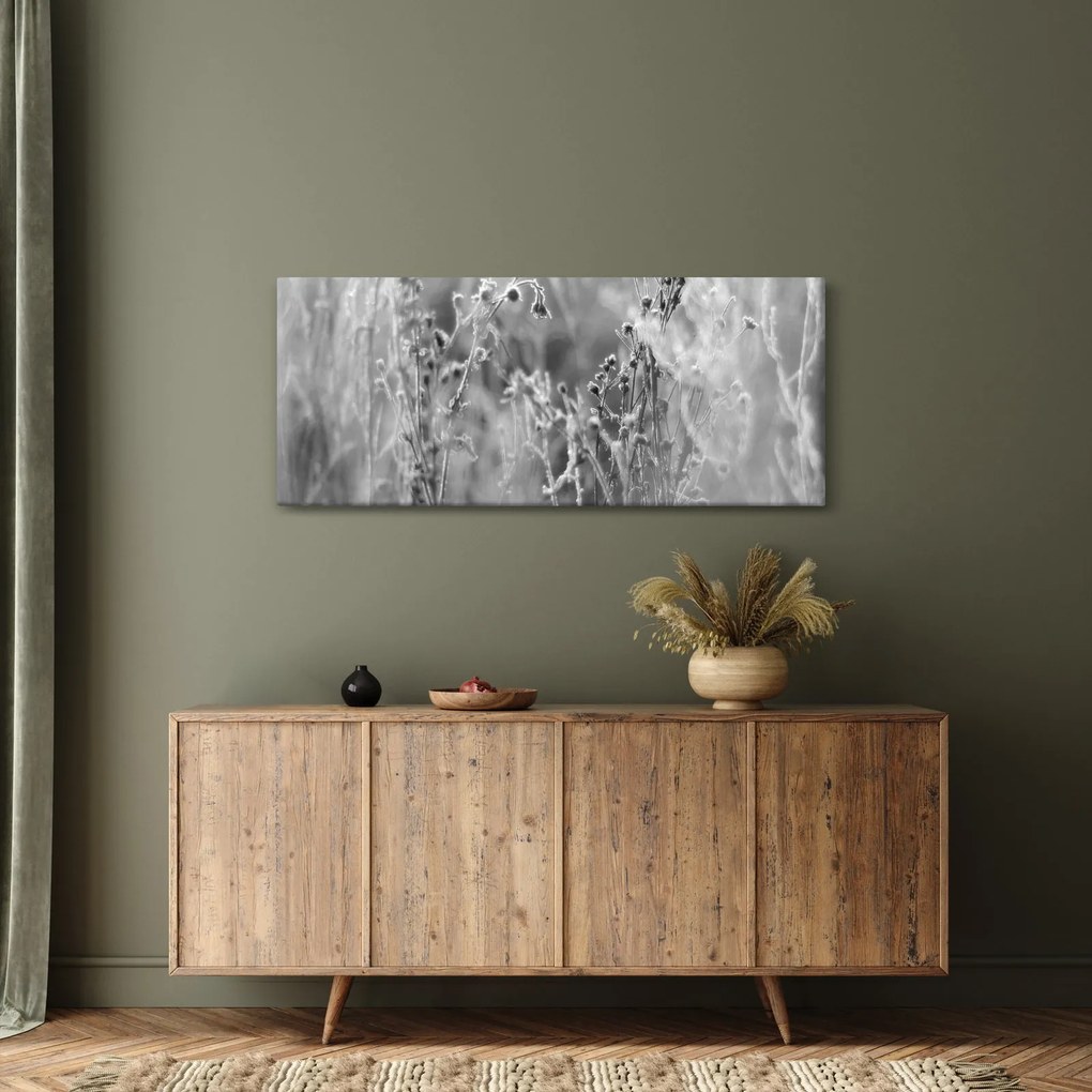 Obraz - Divoká lúka (120x50 cm)