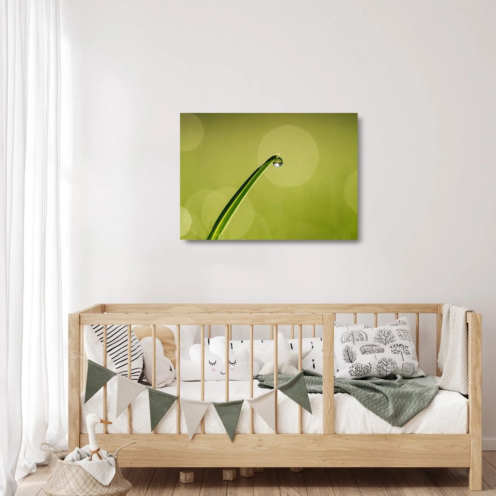 Sklenený obraz kvapky vody na tráve (70x50 cm)
