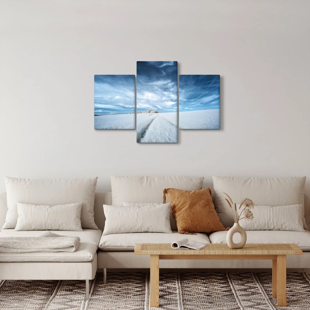 Obraz poľa (90x60 cm)