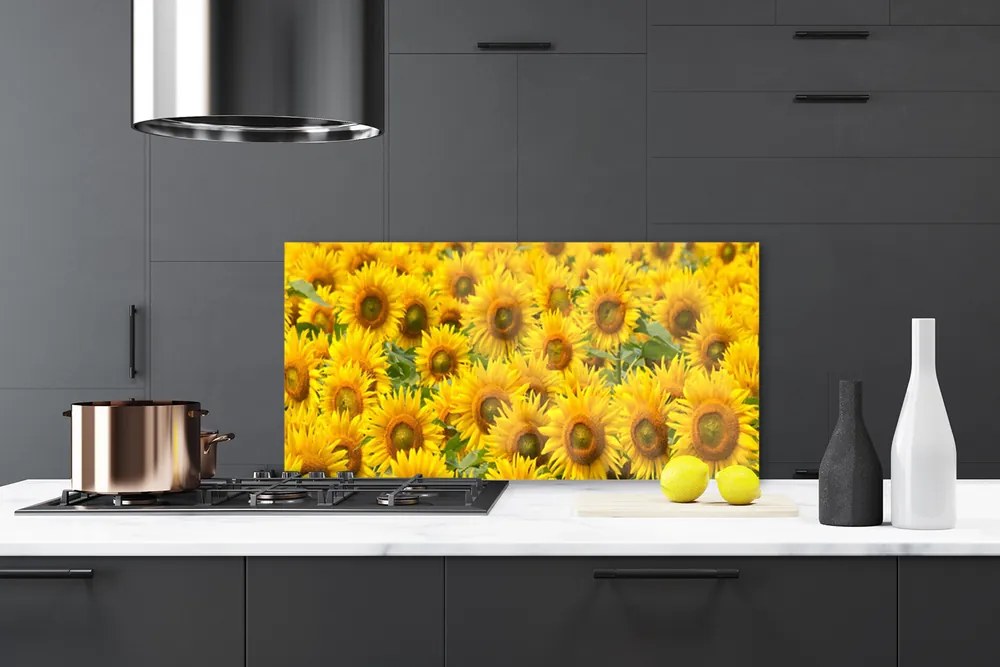 Nástenný panel  Slunecznice rastlina 125x50 cm