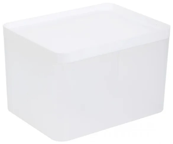 Úložný box GIZMO biely 883403