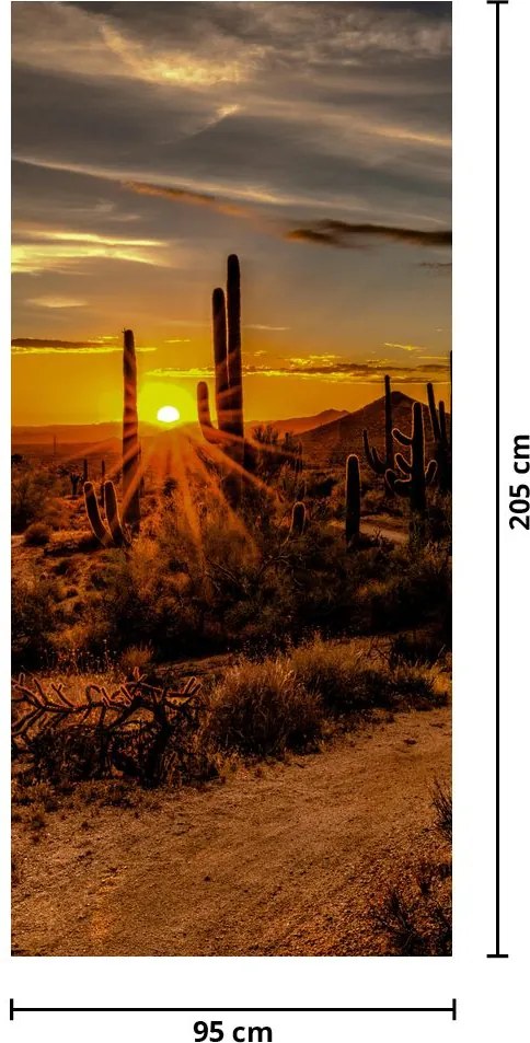 Fototapeta na dvere - Koniec dňa v arizonskej púšti (95x205cm)