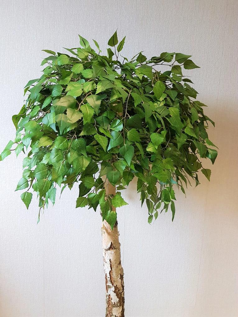 Umelý strom- Breza guľatá 180 cm