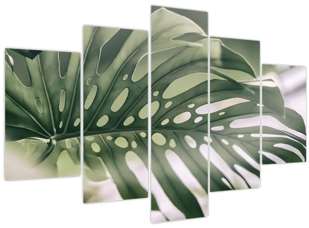 Obraz - List monštier (150x105 cm)