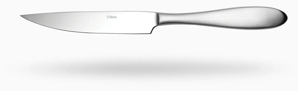 Steakový nôž s dutou rúčkou 24,5 cm - Turin - 103790