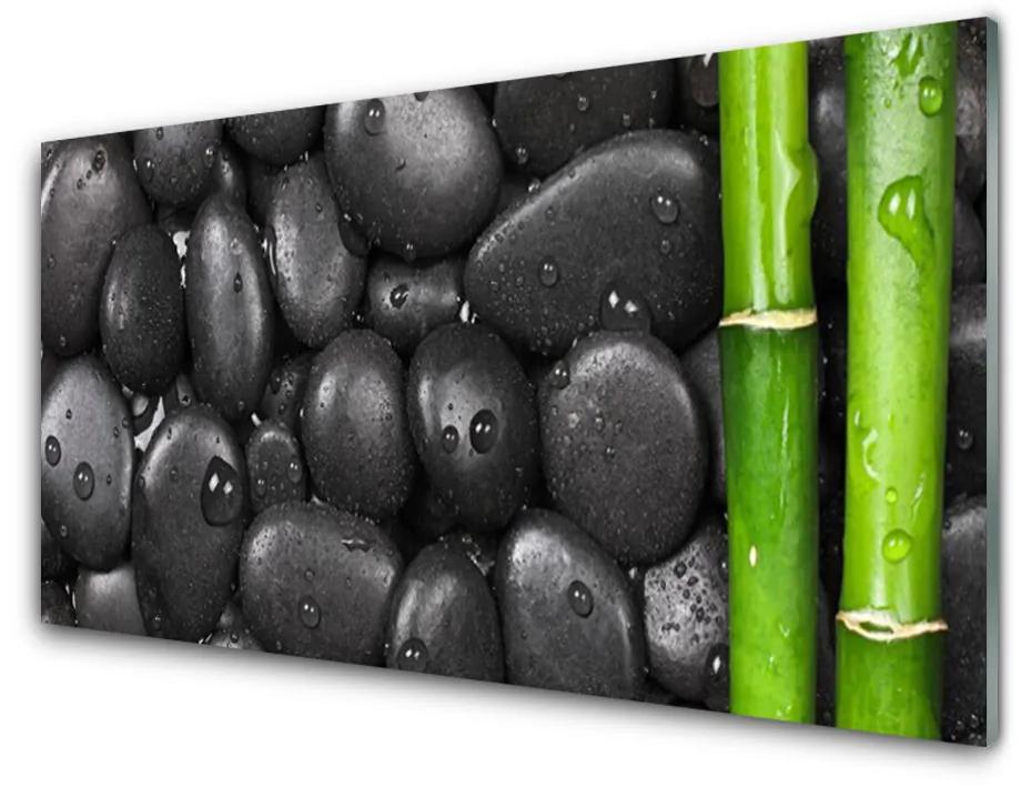 Skleneny obraz Bambus stonka kamene 120x60 cm