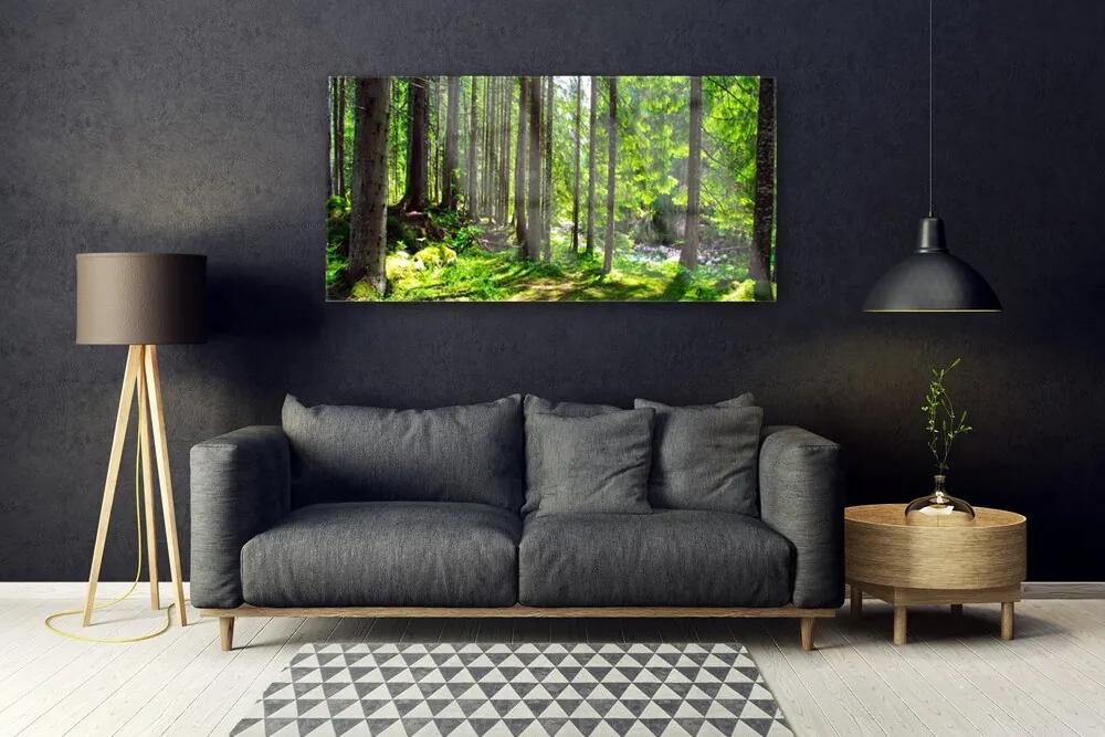 Obraz plexi Les stromy rastlina príroda 120x60 cm