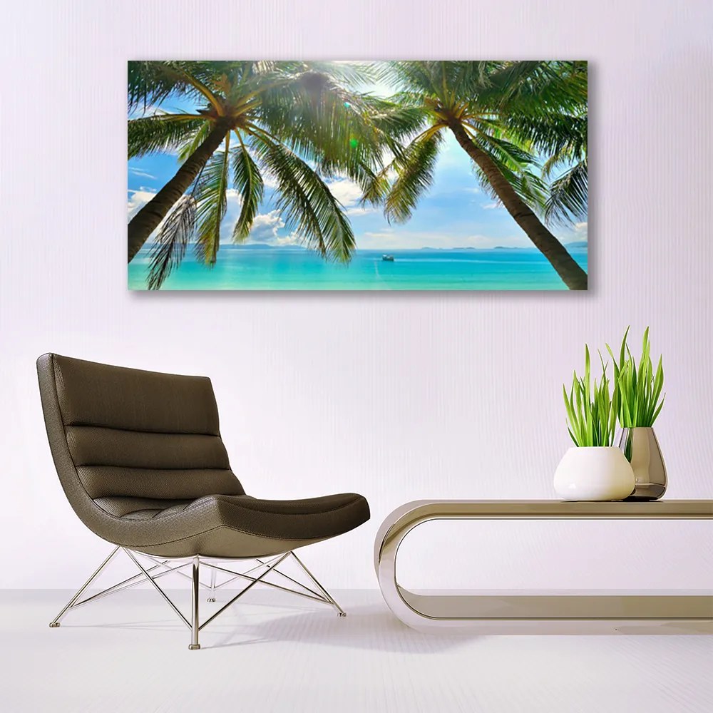 Obraz plexi Palma strom more krajina 120x60 cm