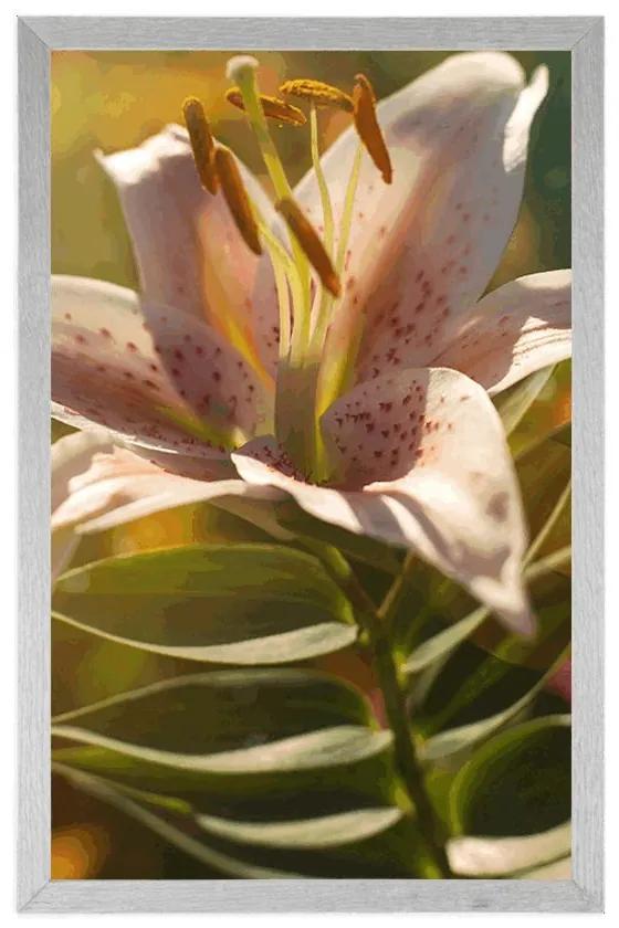 Plagát nádherný kvet s retro nádychom - 30x45 white