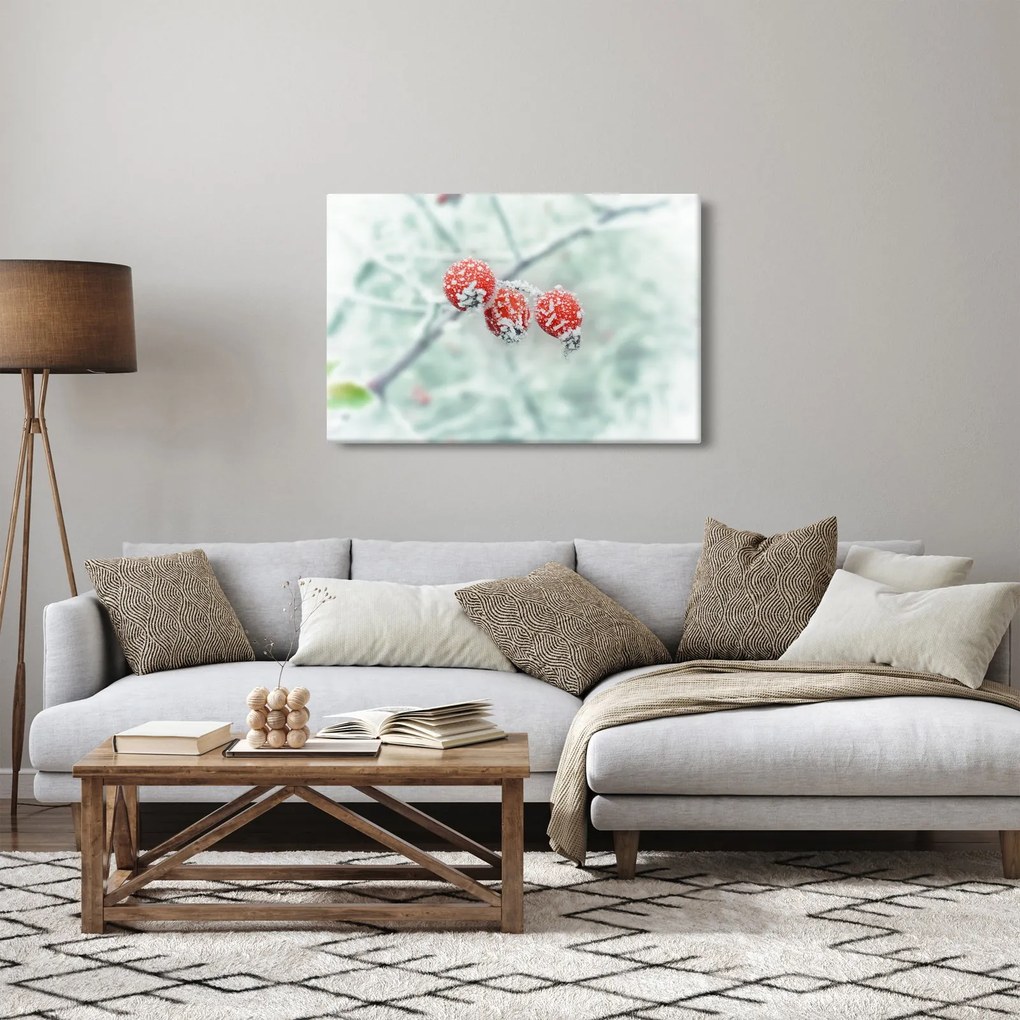 Obraz zmrznutých šípok (90x60 cm)