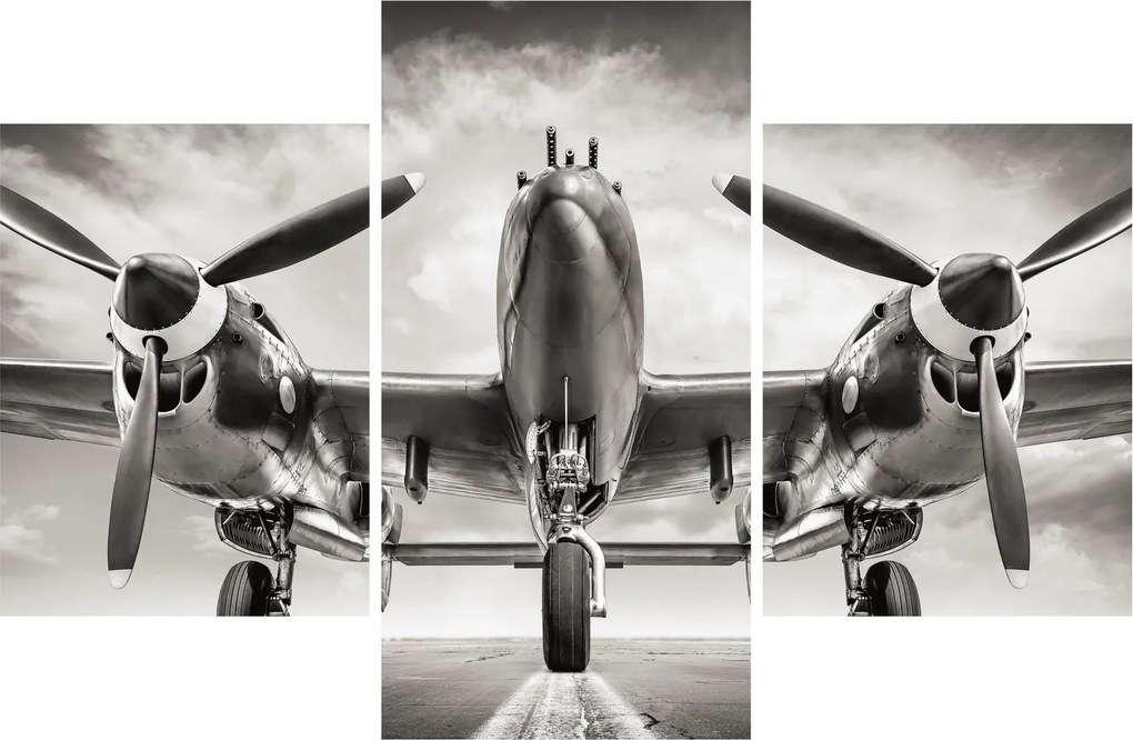 Obraz - Warbird (90x60 cm)
