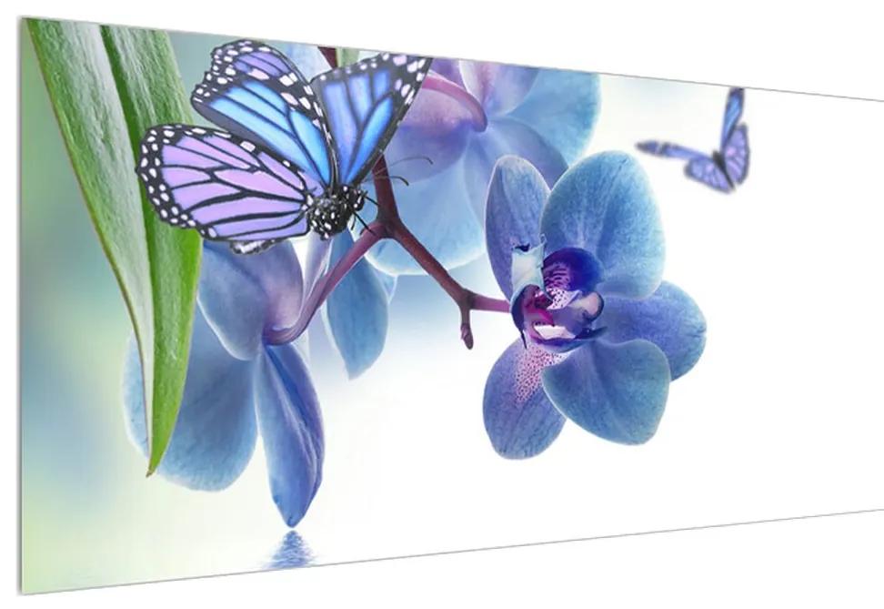 Obraz motýľa na kvetoch orchidee (120x50 cm)