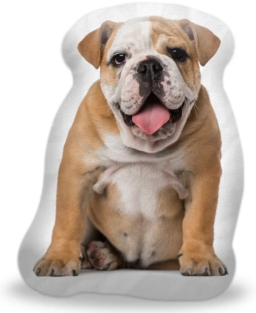 Sablio 3D vankúš Anglický buldog