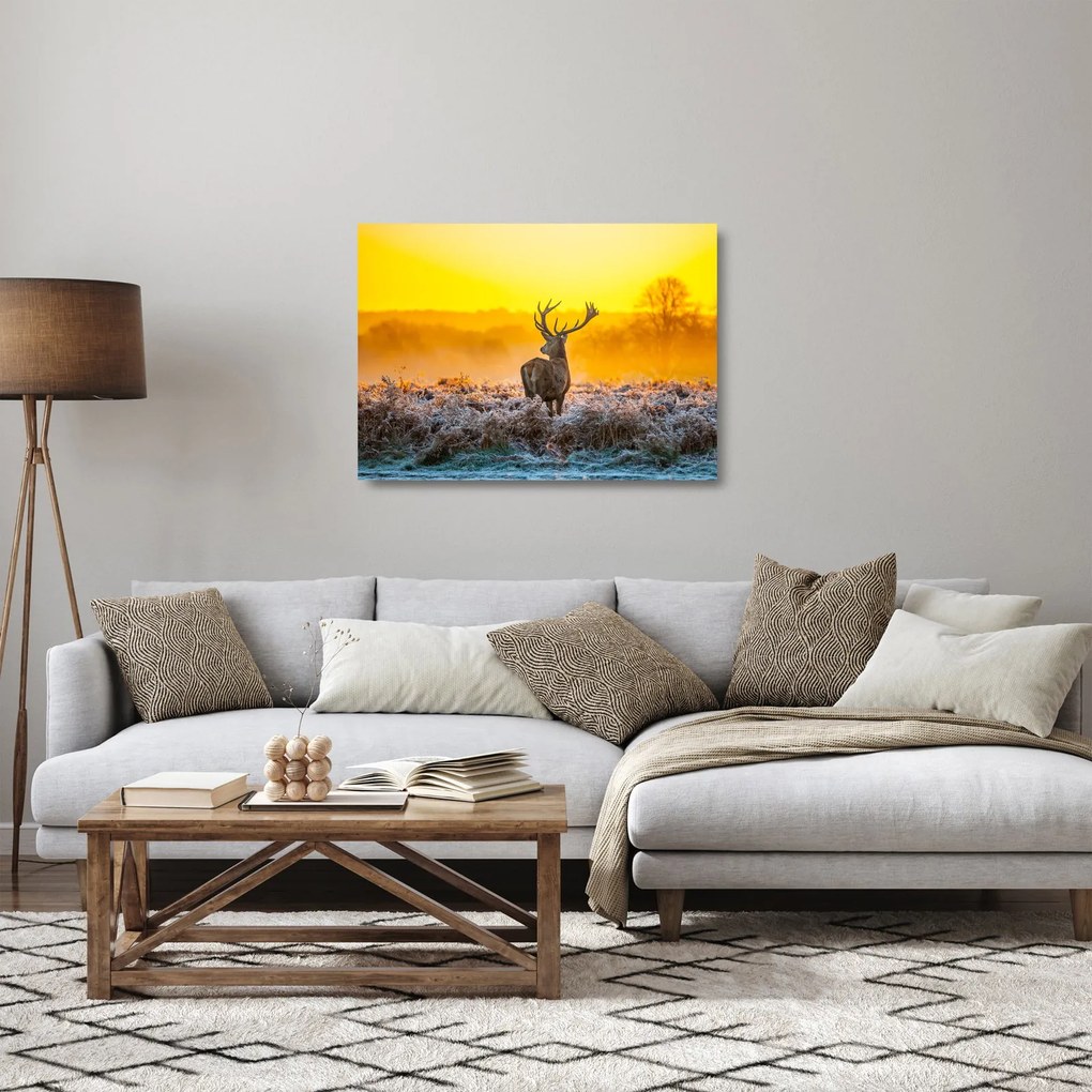 Sklenený obraz - Jeleň pri východe slnka (70x50 cm)