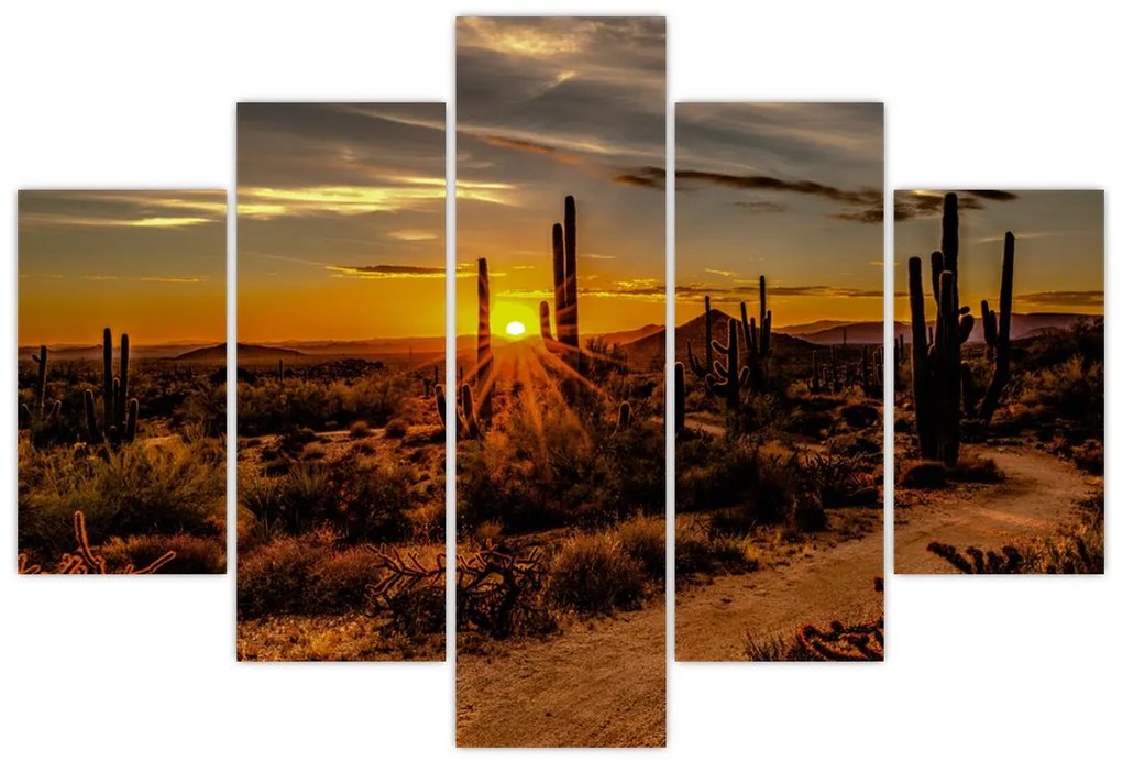 Obraz - Koniec dňa v arizonskej púšti (150x105 cm)