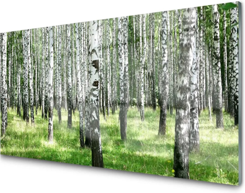 Skleněný obraz Les Tráva Rastlina Príroda