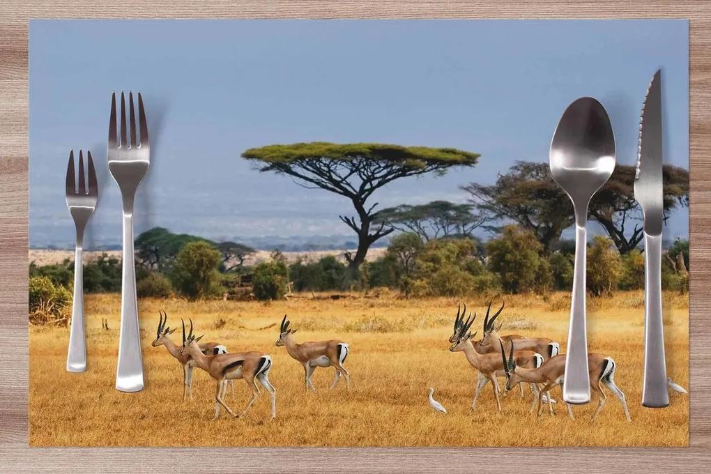 Prestieranie Safari