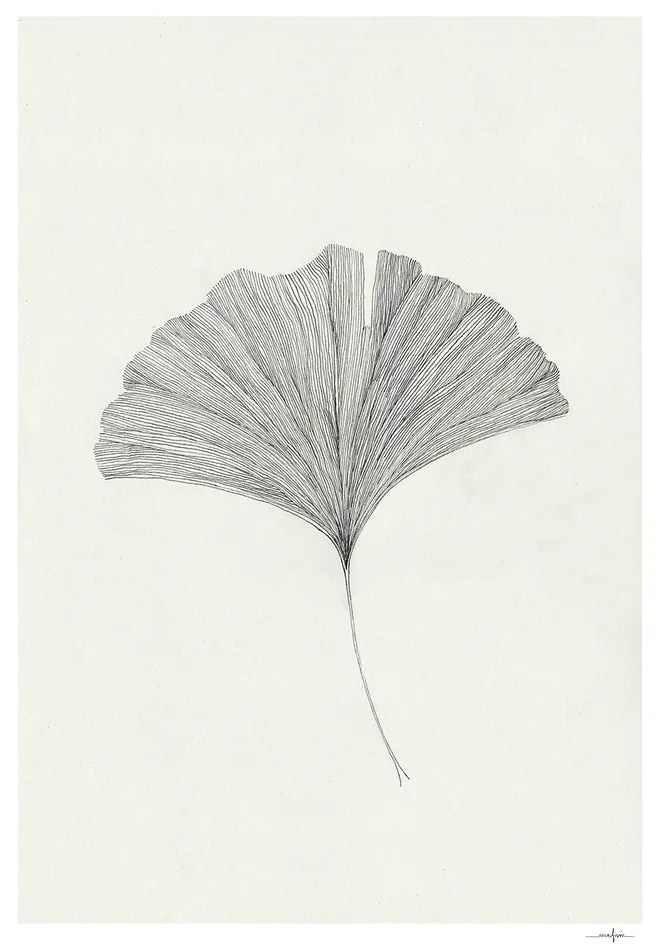The Poster Club Plagát Ginkgo Leaf by Ana Frois A4 (21x27cm)