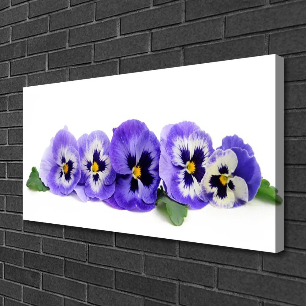 Obraz Canvas Plátky kvet sirôtky 120x60 cm