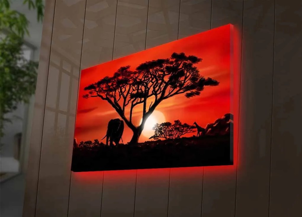 Obraz s LED osvětlením AFRICKÁ KRÁSA 53 45 x 70 cm