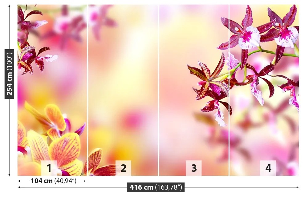 Fototapeta Vliesová Ružová orchidea 250x104 cm