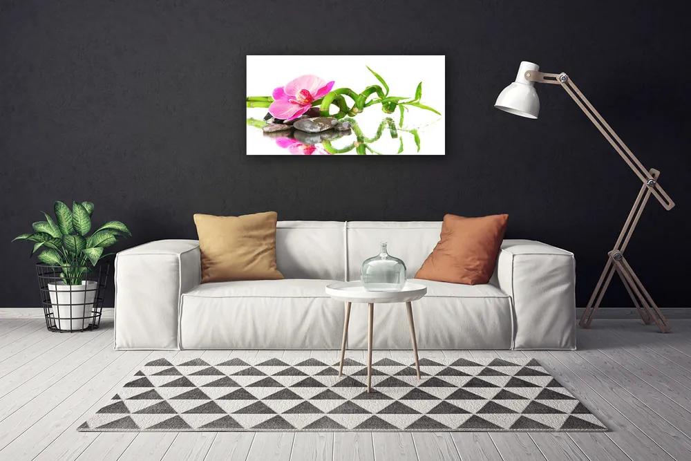 Obraz Canvas Bambus kvet kamene umenie 120x60 cm