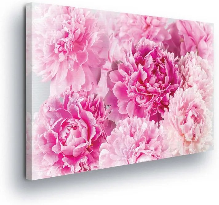 GLIX Obraz na plátne - Pink Carnation Flowers 100x75 cm
